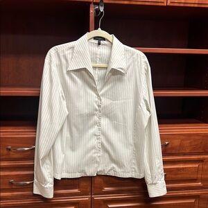 Like New Audrey Talbott Cotton Stretch Pinstriped Buttondown Longsleeve